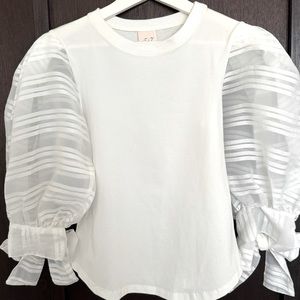 Cinq a Sept “Carlie” Organza & Stretch Cotton Top XS